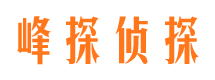 樊城外遇调查取证